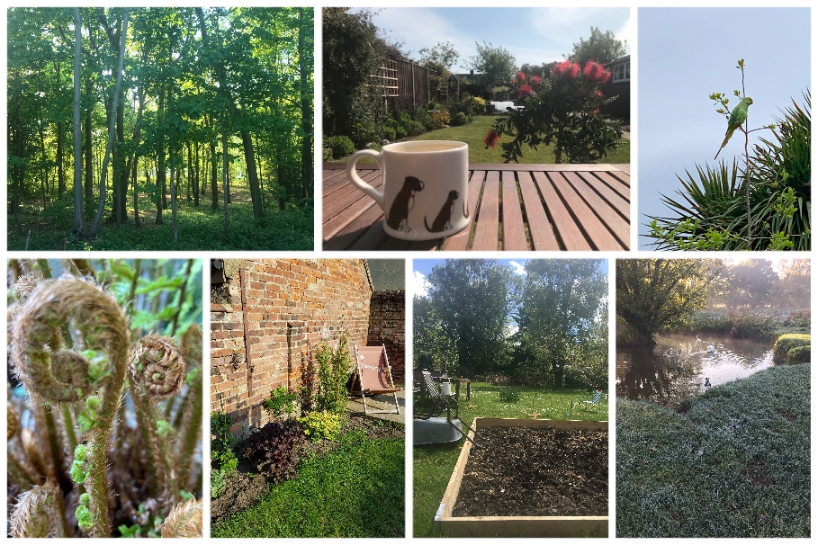 Part of the World Land Trust's Bigger Picture